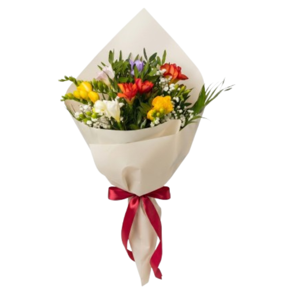 Buchet frezii colorate