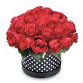 Bouquet of red roses in a black and white polka dot box on a white background