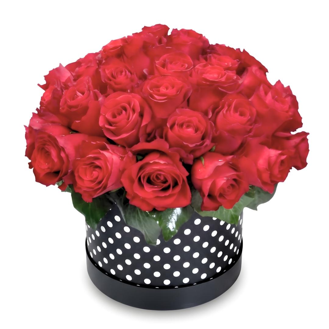 Bouquet of red roses in a black and white polka dot box on a white background