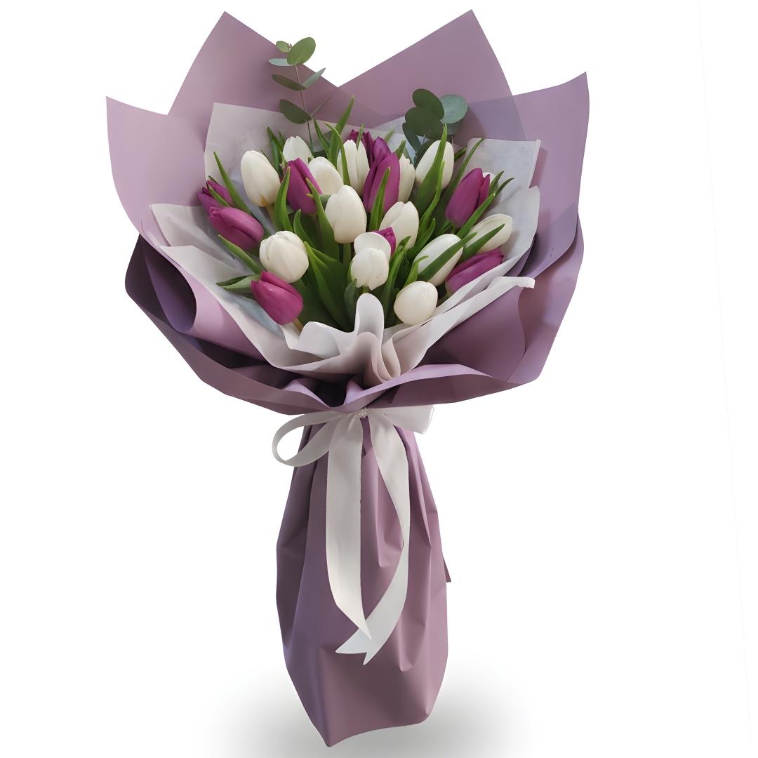 Bouquet of purple and white tulips wrapped in purple paper with a white ribbon on a white background